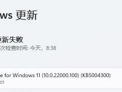 Win11WindowsûӦô죿