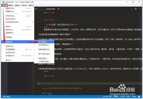 Visual Studio CodeԶеļ