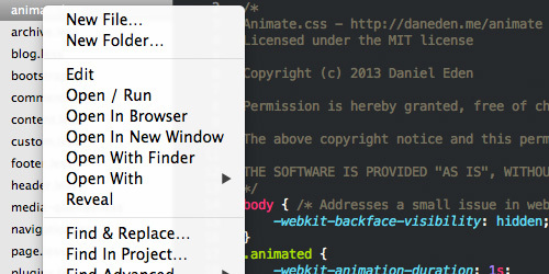 Sublime Text 3.3176°