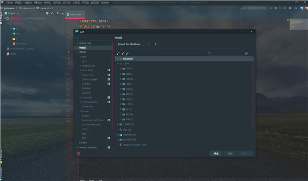 Webstorm 2019ƽ