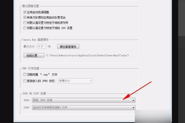 Adobe Camera Raw 2021ƽ