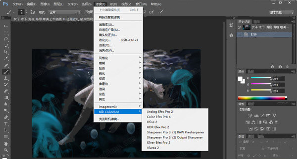 Nik Collection V4.3ٷ