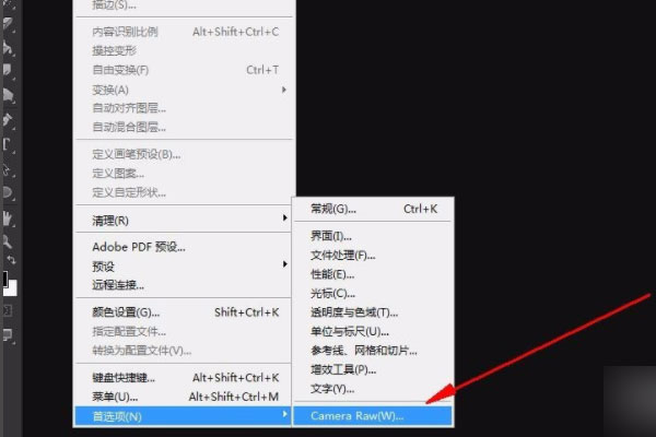 Adobe Camera Raw 2021ƽ