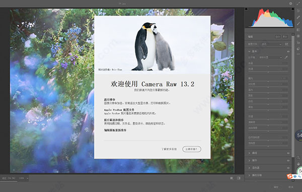 Adobe Camera Raw 2021ƽ