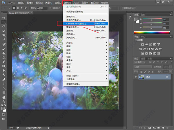 Adobe Camera Raw 2021ƽ