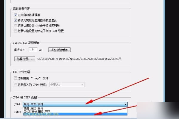 Adobe Camera Raw 2021ƽ