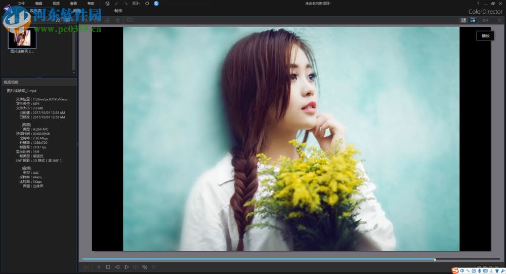 ColorDirector 8ƽ