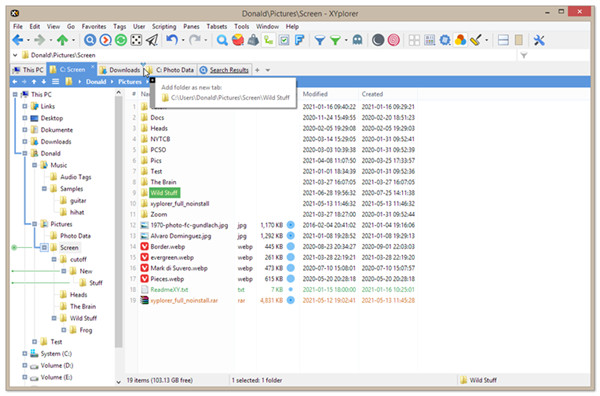 XYplorer(ļ)v22.60.0100°