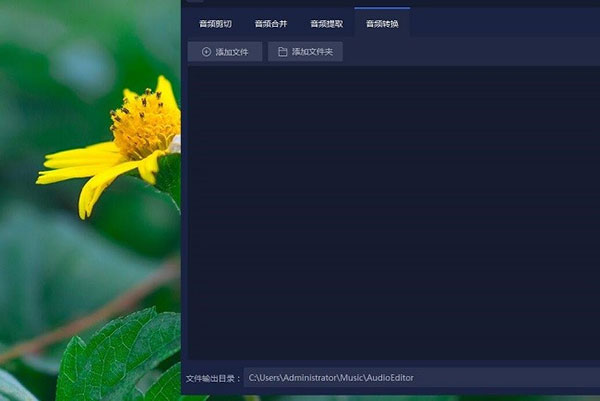 ѸƵת v1.7.4ɫ
