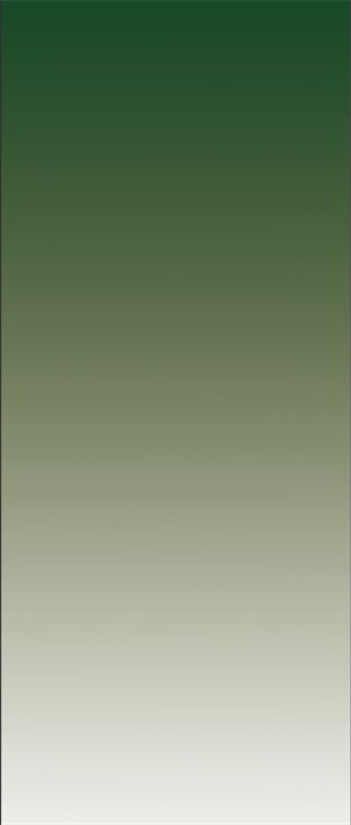 Adobe Photoshop CS4ע